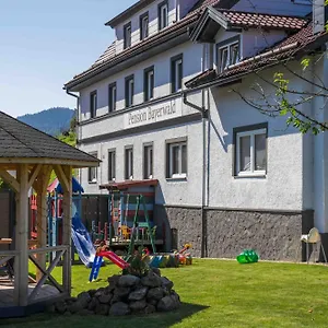 Bayerwald 3*, Bodenmais Deutschland